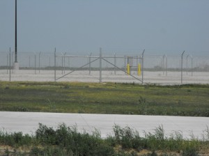 339-2011-06-06-Jerry-Neiman-copy-right-300x224